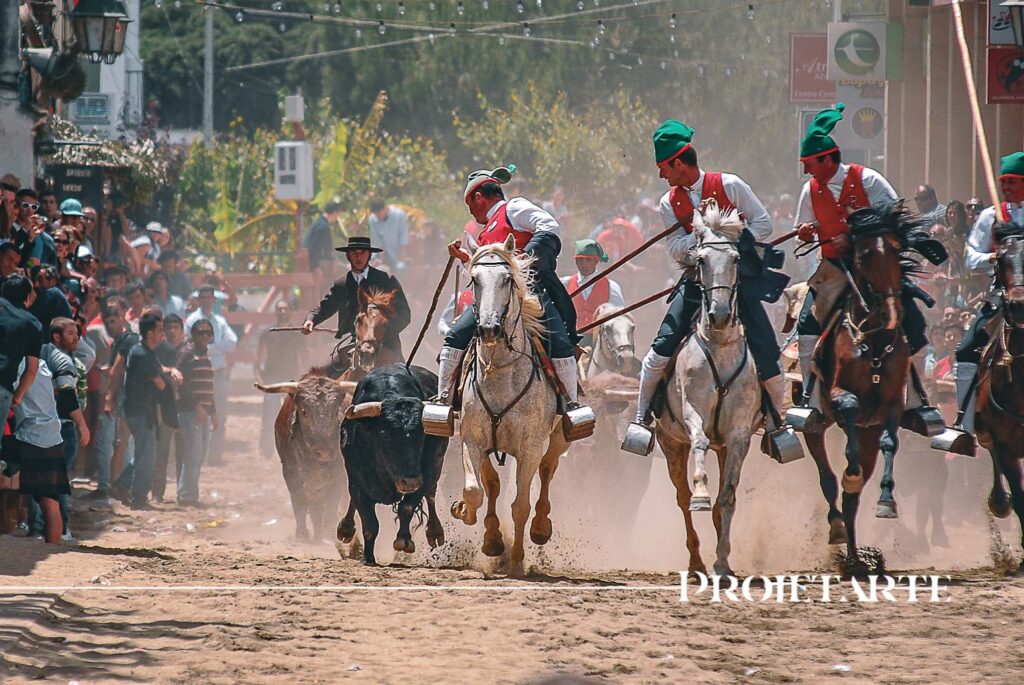 Feira de Maio Azambuja