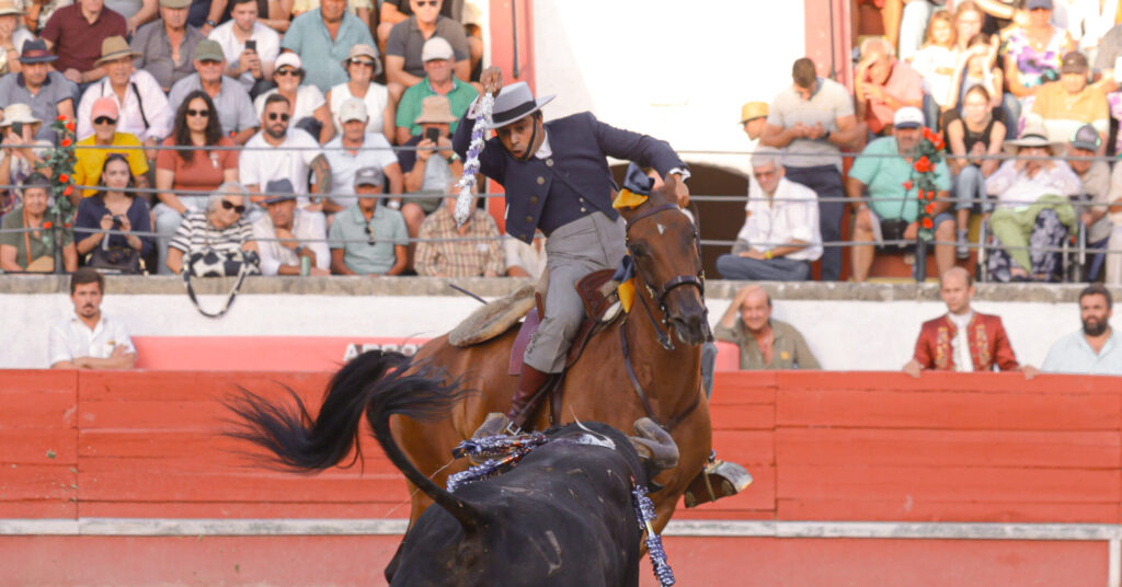 Vasco Veiga