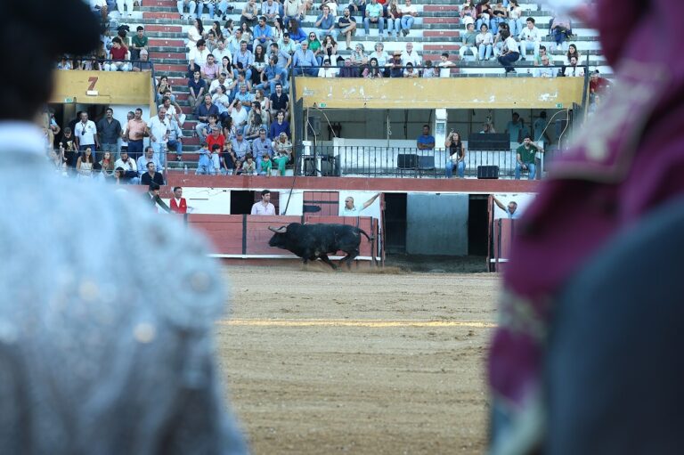 Coruche prepara uma tarde de tradição, competição e memória na arena