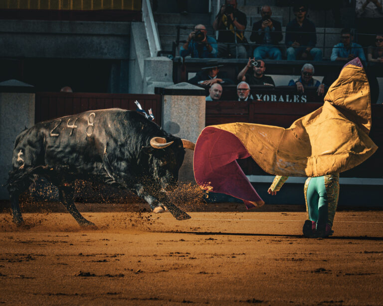 Palha em Madrid: tarde de exigência em Las Ventas