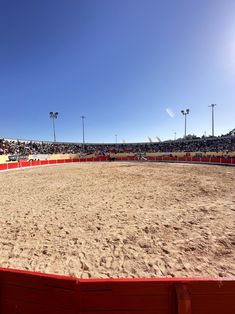 Azambuja mantém a tradição viva: Corrida da Feira de Maio