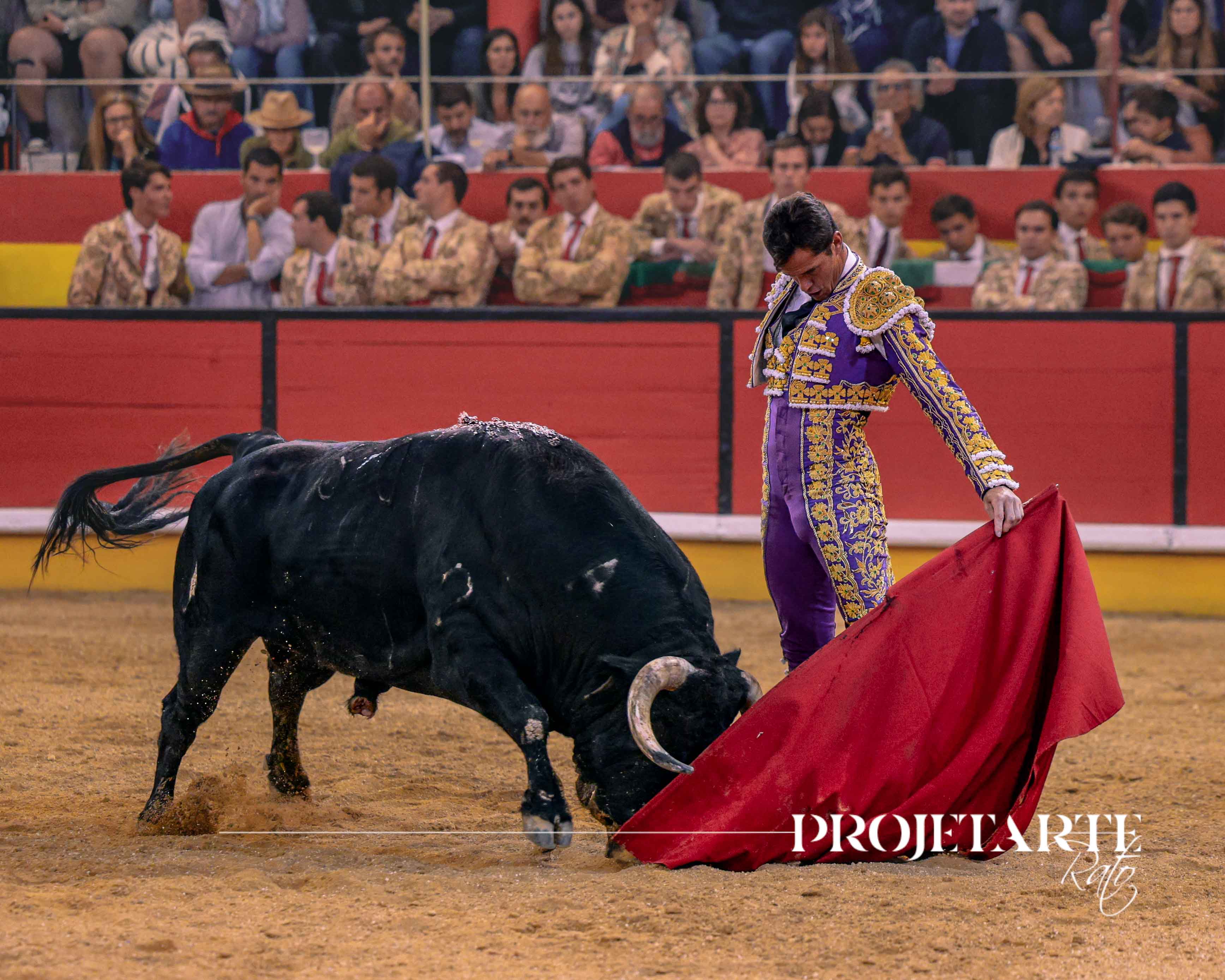 Nazaré –  Toureio caro em noite para aficionados