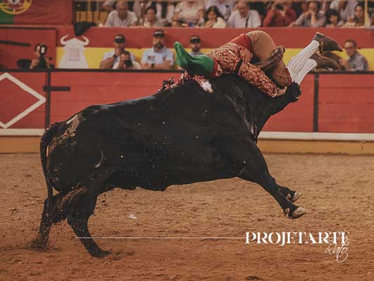 Forcados Amadores de São Manços