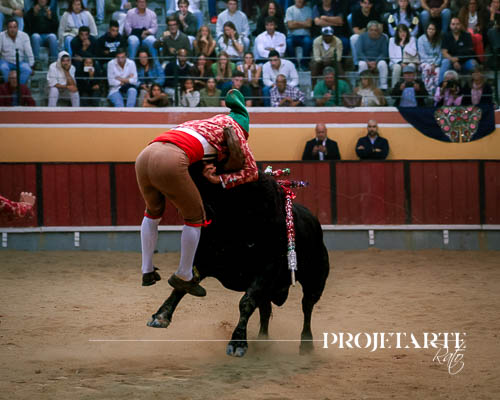 Forcados Amadores de Vila Franca de Xira