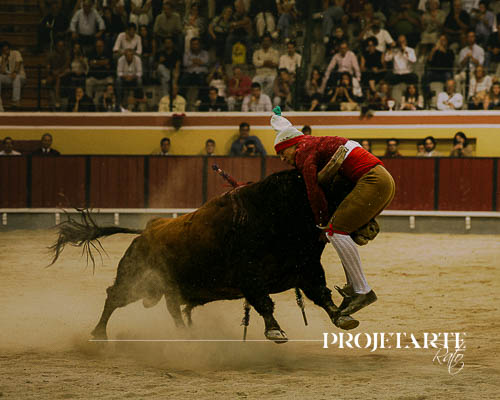 Forcados Amadores de Montemor